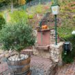 Gartenbereich - **Gepflegtes Einfamilienhaus mit schönem Fernblick in ruhiger waldnaher Lage**