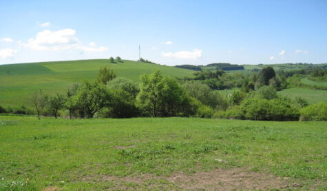 ***Ruhige Ortsrandlage mit schönem unverbaubarem Fernblick***, 54552 Mehren, Grundstück